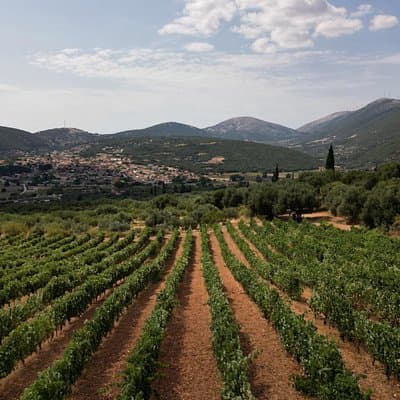 Kefalonia Wine Tour