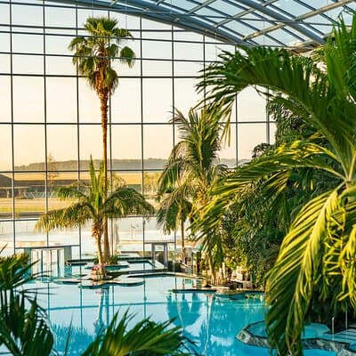 Therme Bucuresti: Entry Ticket and Transfer