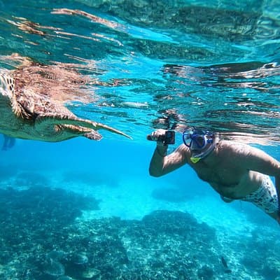 Daymaniat Islands Guided Snorkeling Adventure from Muscat
