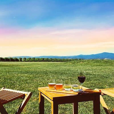 Melbourne: Epic Yarra Valley Wine Tour & Lunch - Gin/Beer Upgrade