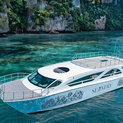 Full-Day Phi Phi and Maiton islands Tour by Speed Catamaran