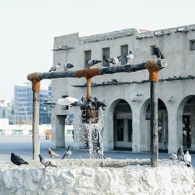 Private City Tour in Doha