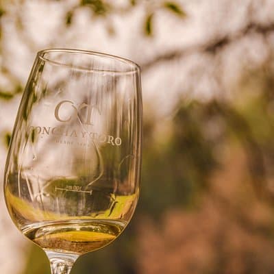 Concha y Toro Premium Sensory