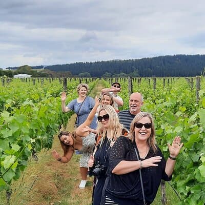 Half Day Martinborough Winery Tour from Wellington