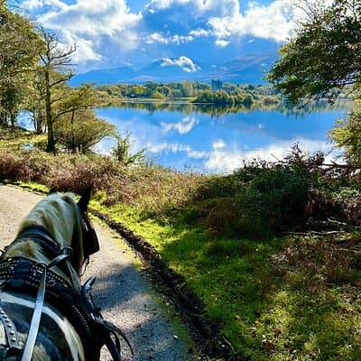 Killarney National Park Tour