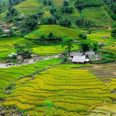 A day Trek to Rice Field in LaoChai-Tavan village-MuongHoa valley