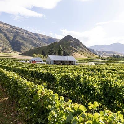 Award Winning Premium Wine Tour Queenstown Tasting at 4 Wineries