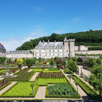 Loire Valley Half Day Wine Tour from Tours : 2 local wineries