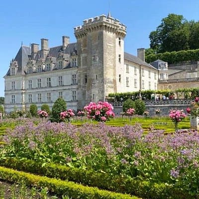 Loire Valley from Tours : Azay-le-Rideau, Villandry, 2 Wineries