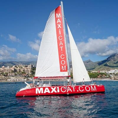 Tour with Whale and Dolphin Watching plus food included