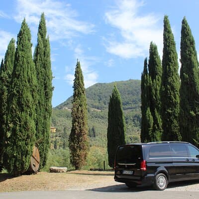 Tasting in a Tuscan Vineyard with transfer from Pisa