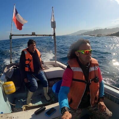 Private boat trip to see penguins from Valparaíso Cachagua Island
