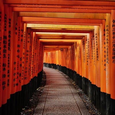 Kyoto Early Morning Tour with English Speaking Guide