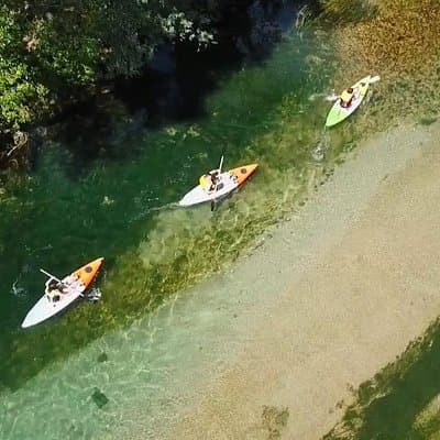 Safari kayak adventure w BBQ & Beer