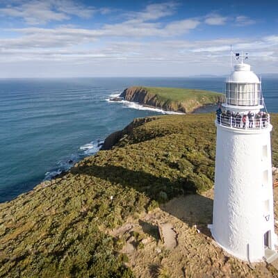 Excursion d'une journée sur l'île Bruny tout compris et visite guidée du phare