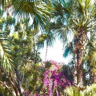 Majorelle Garden Experience: Ticket And Hassle-Free Transfers