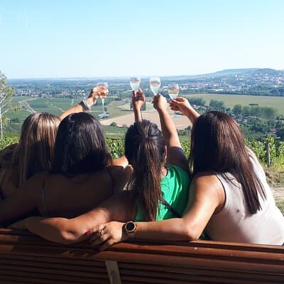 Champagne tasting, panoramic walk in the vineyards