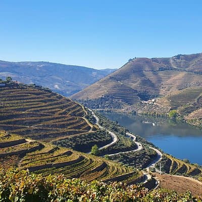 Douro Valley Tour: Wine Tasting River Cruise and Lunch from Porto