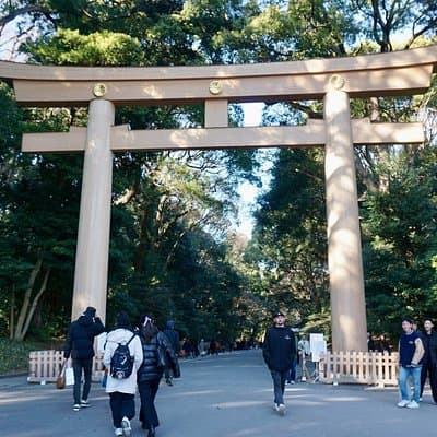 Tokyo Walking Tour: Meiji Shrine, Harajuku&Shibuya Crossing