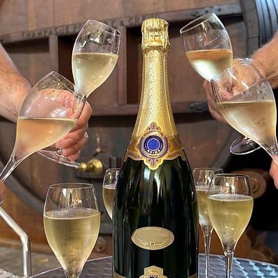 Champagne Day Trip from Reims including 9 Champagne Tastings