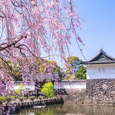 Tokyo Private Tour: Imperial Palace East Gardens, Edo Castle Site
