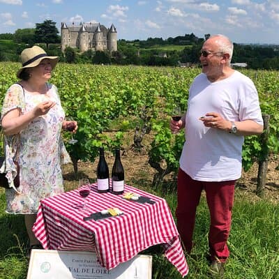 Afternoon Loire Valley Wine Tour from Tours or Amboise