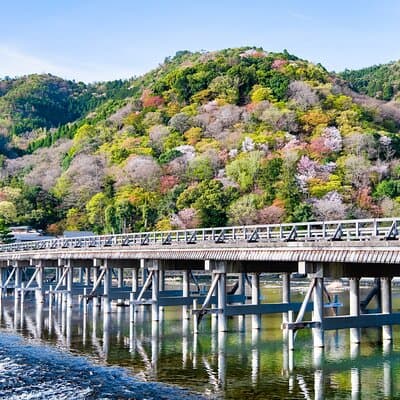 Kyoto Day Tour: Fushimi Inari, Arashiyama, Kinkaku-ji & Kiyomizu