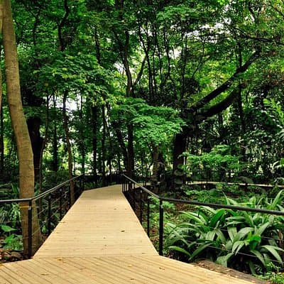 Botanical Garden and Arvi Park Private or Shared Tour