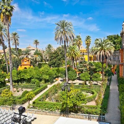 Sevilla: Guided tour to the Alcazar + Cathedral and Giralda