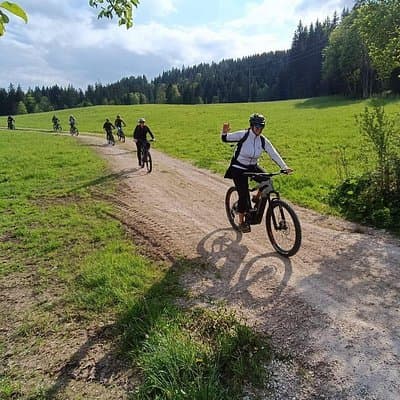 Tour guiado en bicicleta eléctrica por los pastos alpinos en Salzkammergut