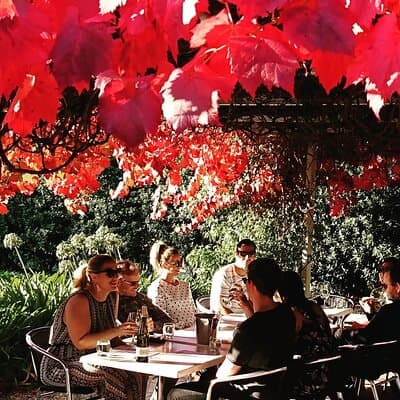 Valleys of Vino Full Day Tour