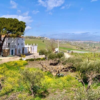 WINE TOUR & ROMAN VILLA in PIAZZA ARMERINA - Tour from Agrigento