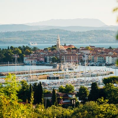 Experience Slovenian Coast line with Wine Tasting from Trieste