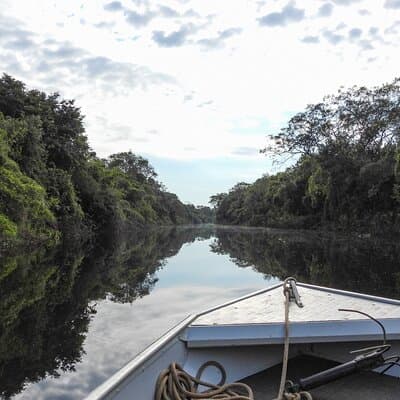 Full day Paraguay River Nature and Wildlife Boat Tour