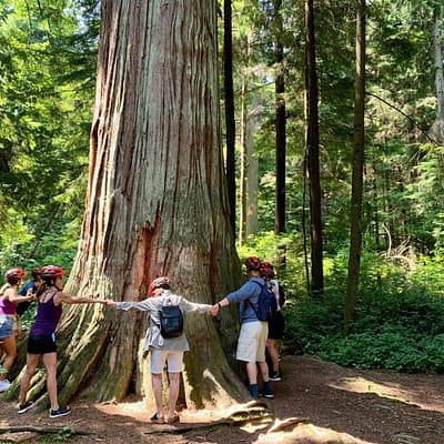Stanley Park & Vancouver City Highlights 4 Hour Bike Tour 2 in 1