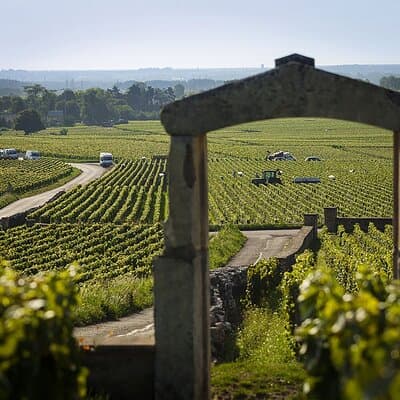 Full-Day Burgundy Wine & Gastonomy: Tastings & Gourmet Lunch