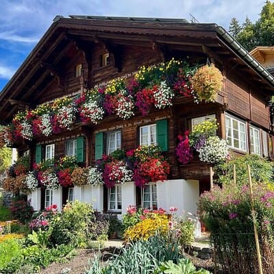 Easy countryside tour in Swiss Alps - kids friendly