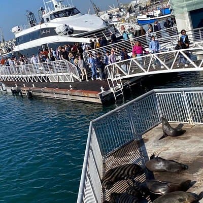 Robben Island Tour from Cape Town: Pre-Booked Ticket & Transfers