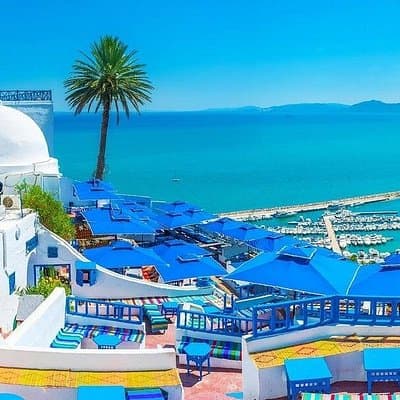 Private Tour Tunis: Carthage, Sidi BouSaid, Medina & Bardo Museum