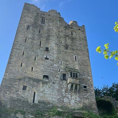 Blarney Castle/Cork City Minibus Tour with National Tour Guide.