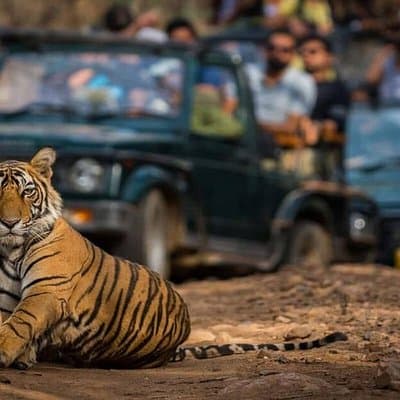 Golden Triangle & Ranthambore: 4-Day Private Tour from Delhi