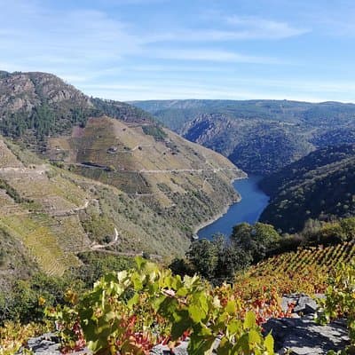 Ribeira Sacra Tour; Canyons, Sil River and Ourense