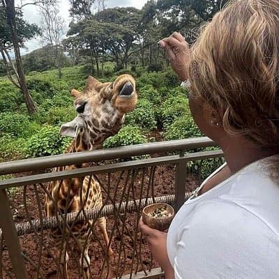 Giraffe Centre and Karen Blixen museum from Nairobi