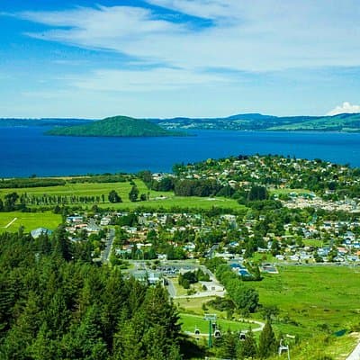 Private Tour Rotorua