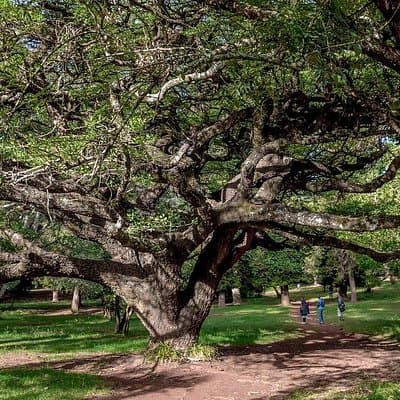 Day Tour to Nairobi Arboretum and Nairobi National Museum