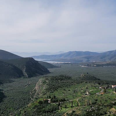 Hike on Ancient Path through the Olive Groves in Delphi