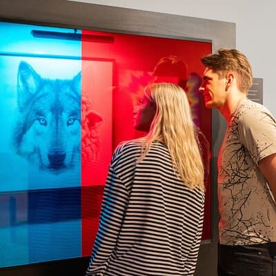 Museum of illusions Vilnius Official Entry Ticket