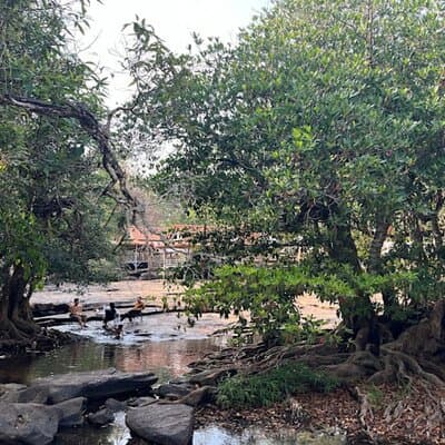 Vientiane Day Trip By Bike To Tad Moon Waterfall