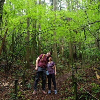 Hike Japan Heritage Hakone Hachiri (Half Day)