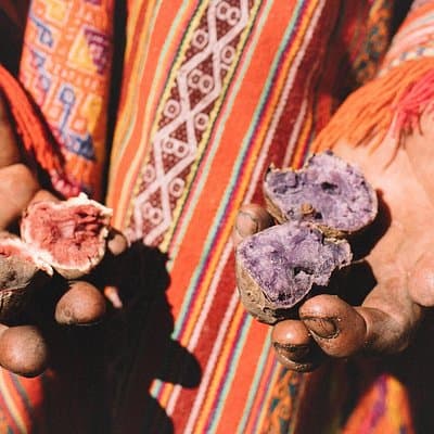 Cusco's Potato King